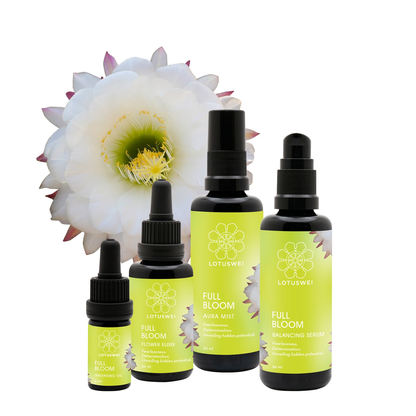 Lotuswei- Full Bloom: Anointing Oil